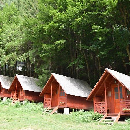 Cabanute Si Camping Dracula Capatineni-Paminteni Dış mekan fotoğraf