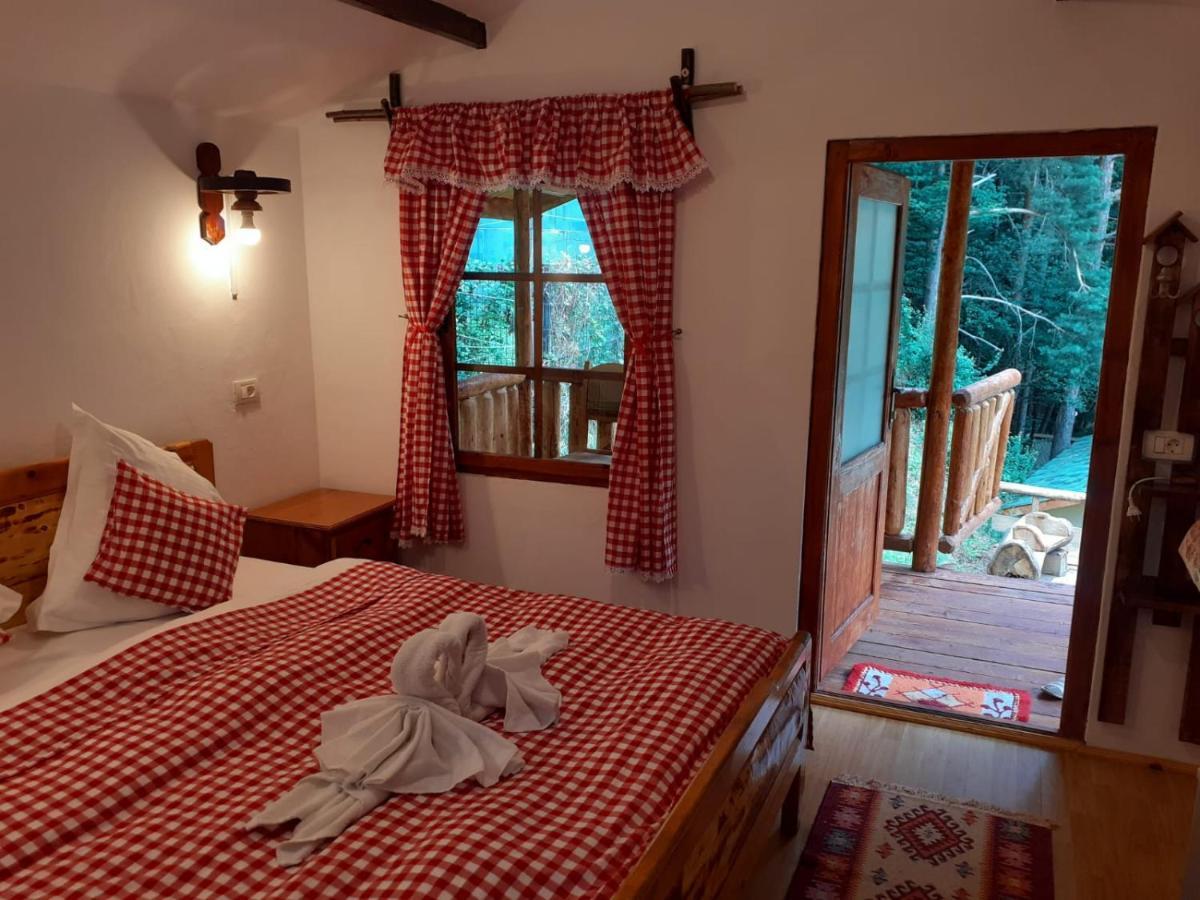 Cabanute Si Camping Dracula Capatineni-Paminteni Dış mekan fotoğraf