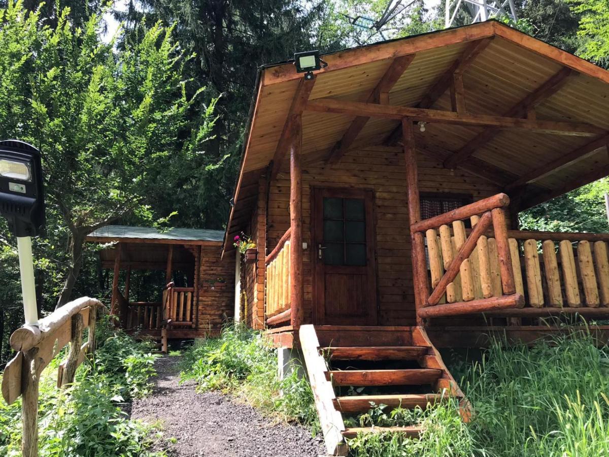 Cabanute Si Camping Dracula Capatineni-Paminteni Dış mekan fotoğraf