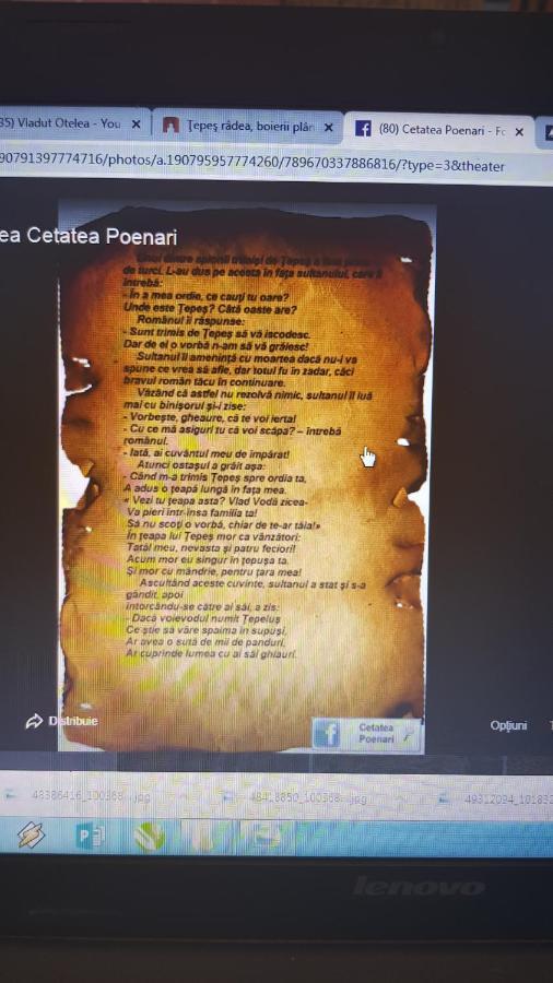 Cabanute Si Camping Dracula Capatineni-Paminteni Dış mekan fotoğraf