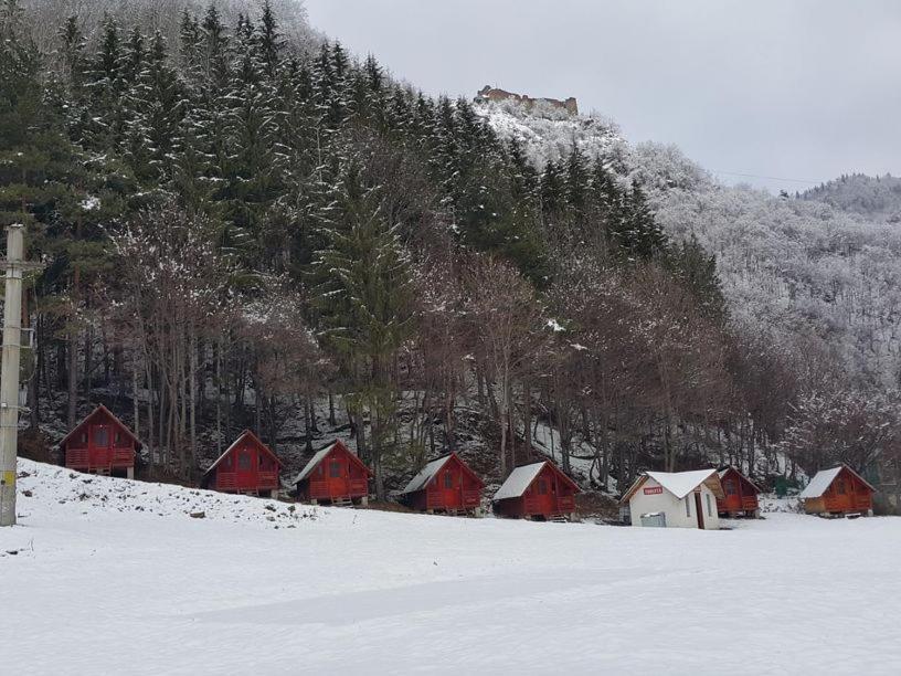 Cabanute Si Camping Dracula Capatineni-Paminteni Dış mekan fotoğraf