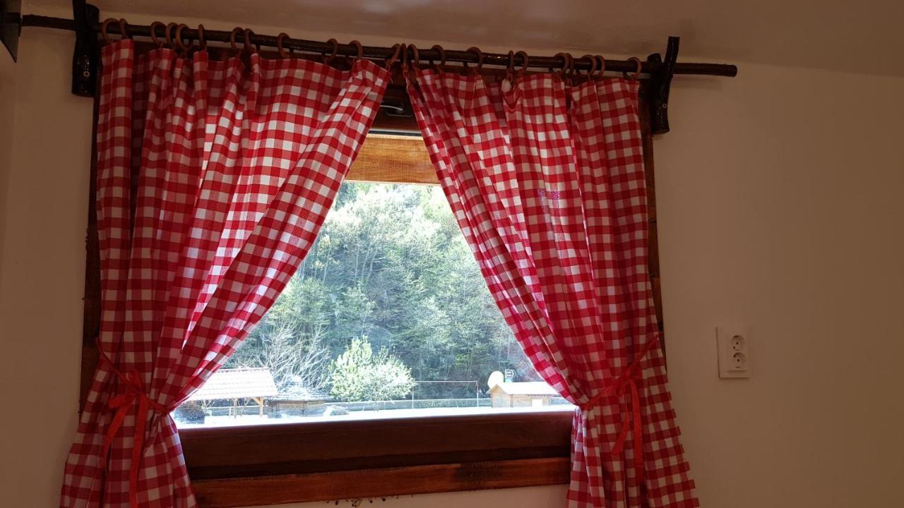 Cabanute Si Camping Dracula Capatineni-Paminteni Dış mekan fotoğraf