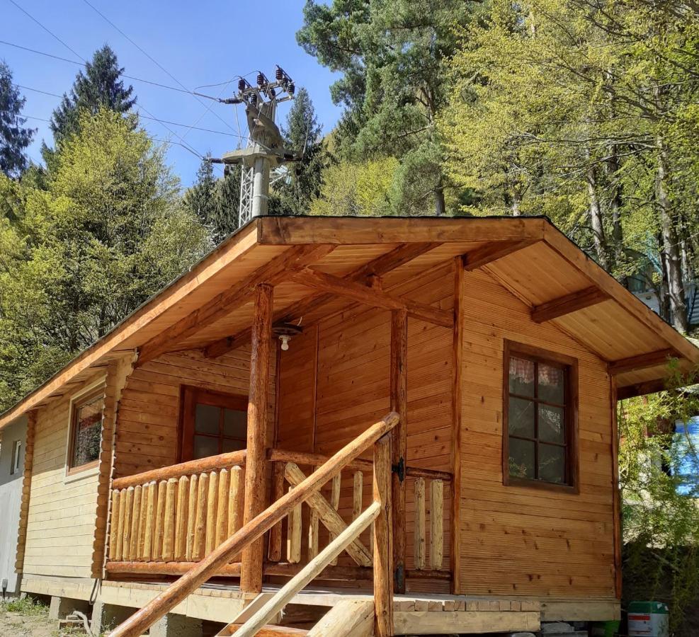 Cabanute Si Camping Dracula Capatineni-Paminteni Dış mekan fotoğraf